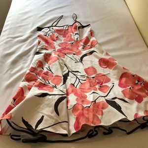 Dress Barn Flora Dress-